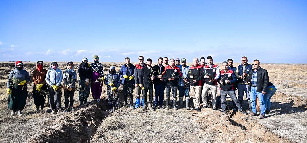 Meralarımıza Yeniden Hayat Projesi