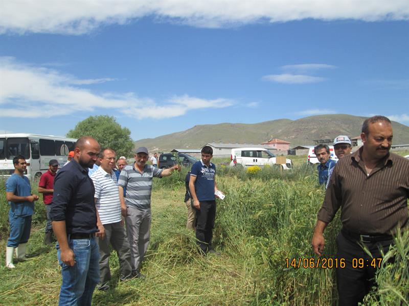 Kaba Yemde Karisim Mucizesi Zobar Mix Hasadi Gerceklestirildi