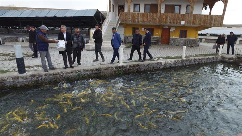 il mudurumuz pinarbasi alabalik uretim tesislerini ziyaret etti