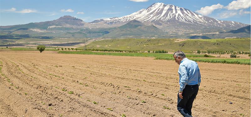 kayseri de zirai don