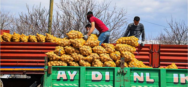 kayserili patates ureticilerimiz depolarini bosaltmaya basladi